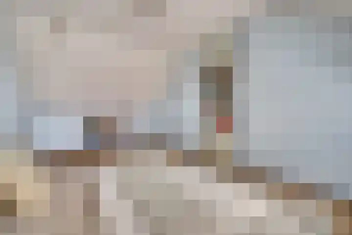 Rijnlaan 43 Spijkenisse thumbnail 37