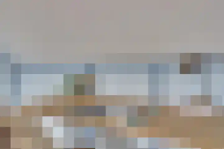 Rijnlaan 43 Spijkenisse thumbnail 39