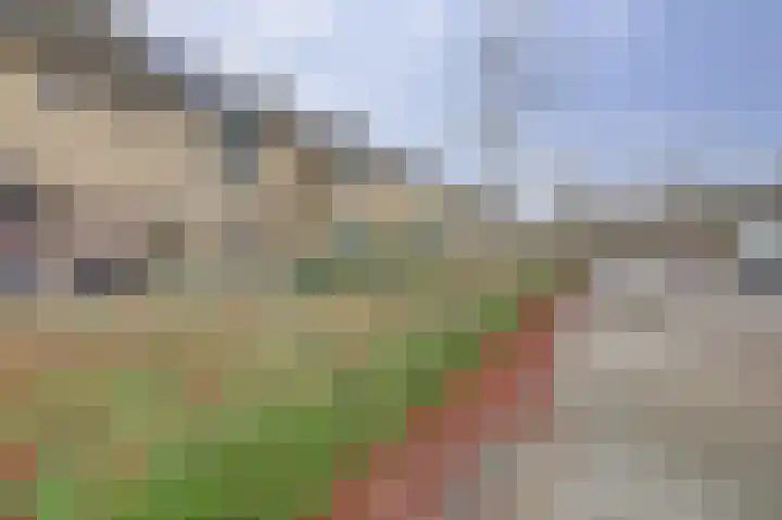 Rijnlaan 43 Spijkenisse thumbnail 40