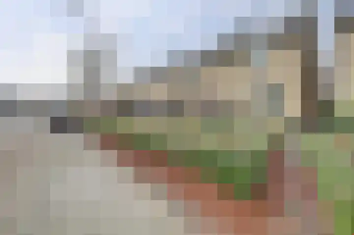 Rijnlaan 43 Spijkenisse thumbnail 41