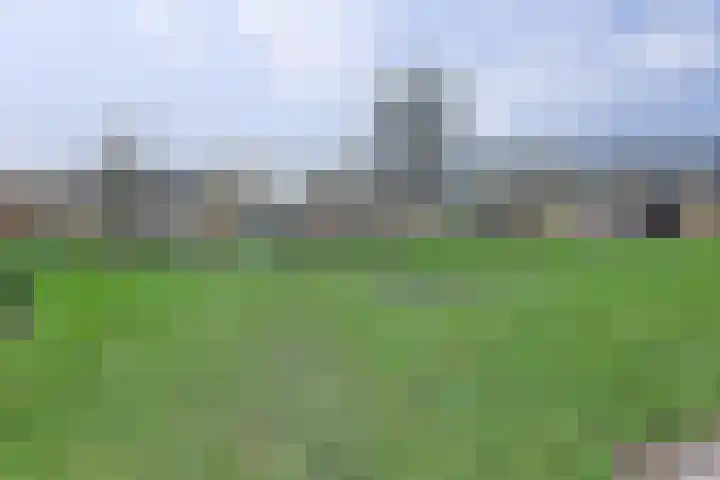 Rijnlaan 43 Spijkenisse thumbnail 42