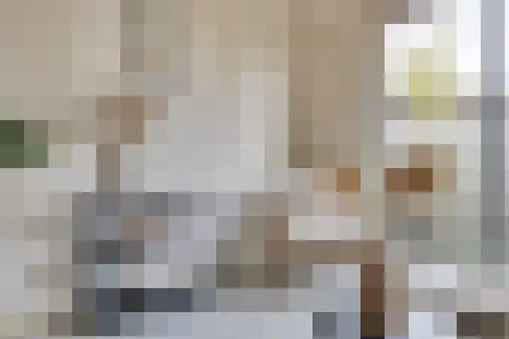 Rijnlaan 43 Spijkenisse thumbnail 6