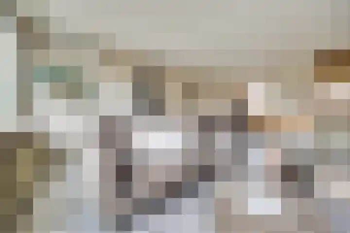 Rijnlaan 43 Spijkenisse thumbnail 9