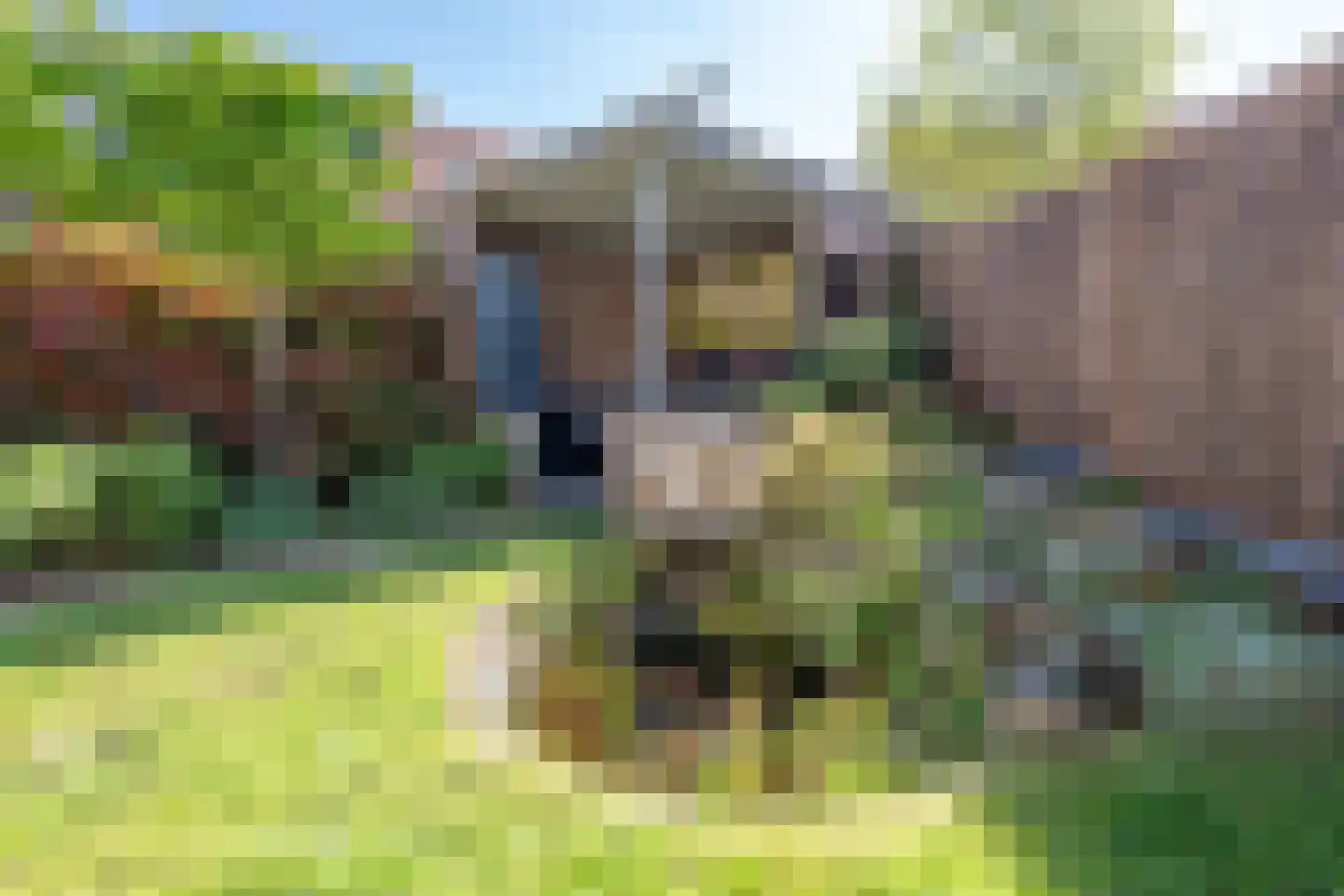 Rijnlaan 45 Helmond thumbnail 42