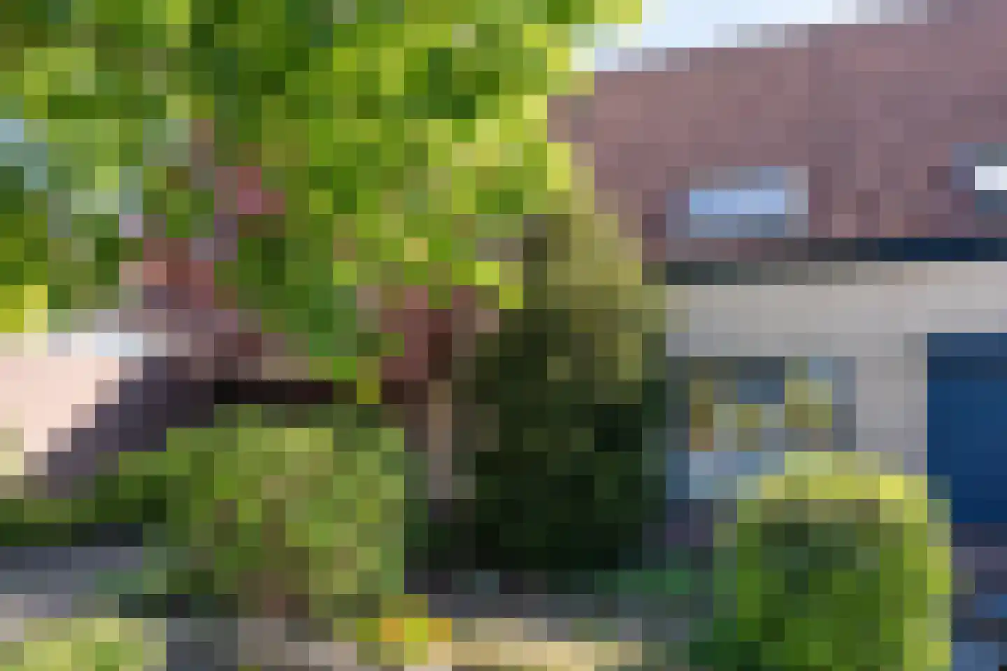 Rijnlaan 45 Helmond thumbnail 8