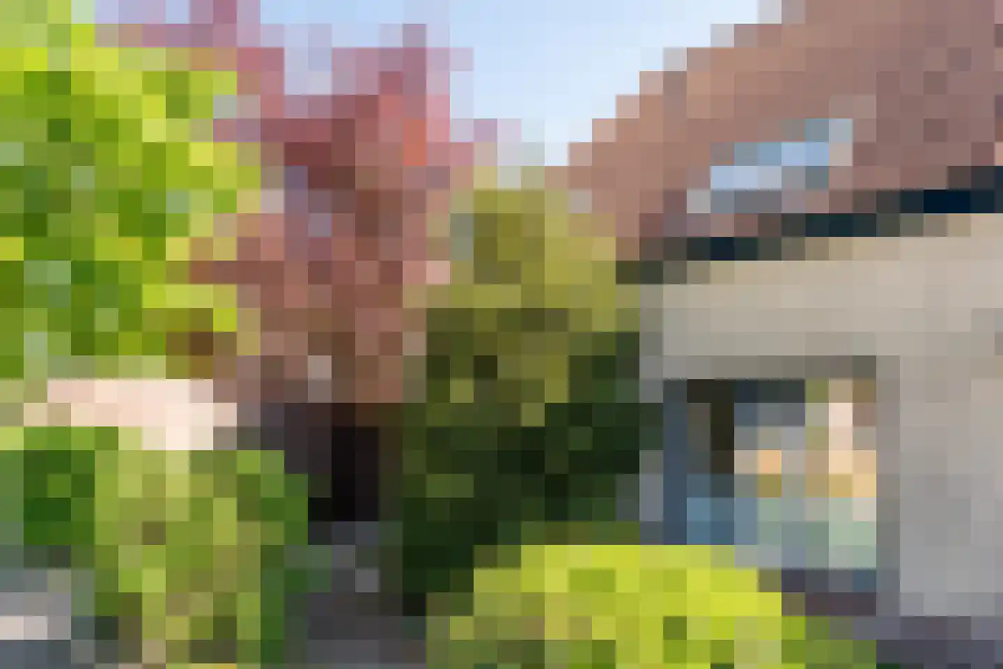 Rijnlaan 45 Helmond thumbnail 9