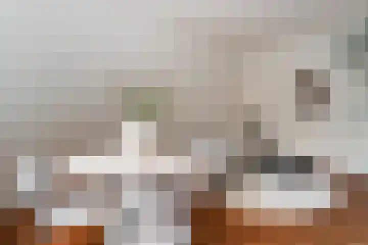 Rijnlaan 46 Utrecht thumbnail 12