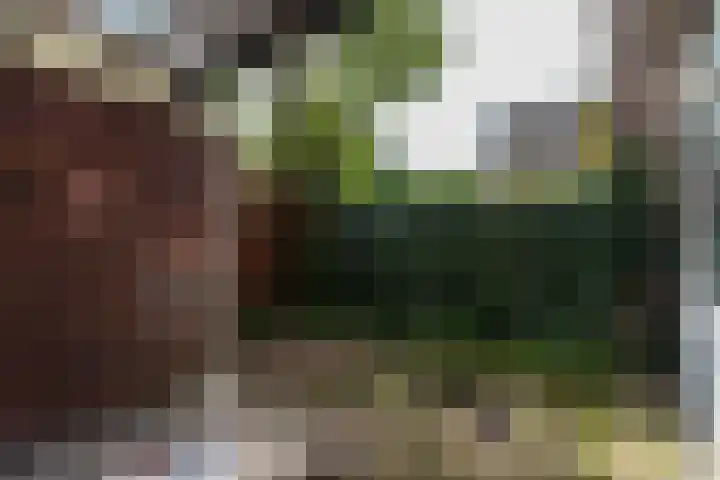 Rijnlaan 46 Utrecht thumbnail 24