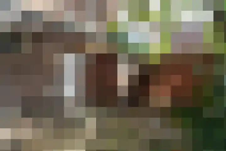 Rijnlaan 46 Utrecht thumbnail 26
