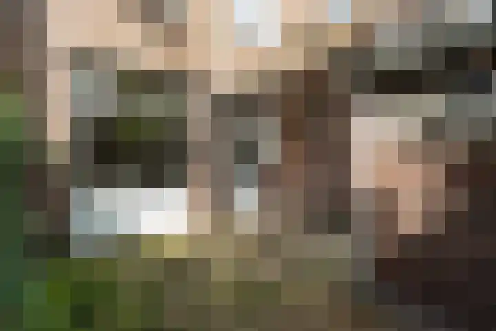 Rijnlaan 46 Utrecht thumbnail 27