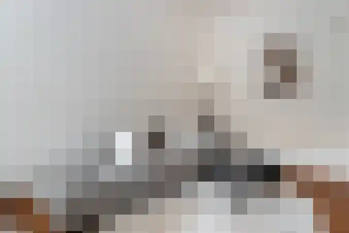 Rijnlaan 46 Utrecht thumbnail 8