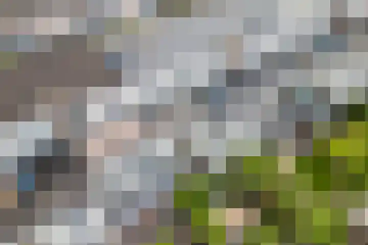 Rijnlaan 51 BS Utrecht thumbnail 32