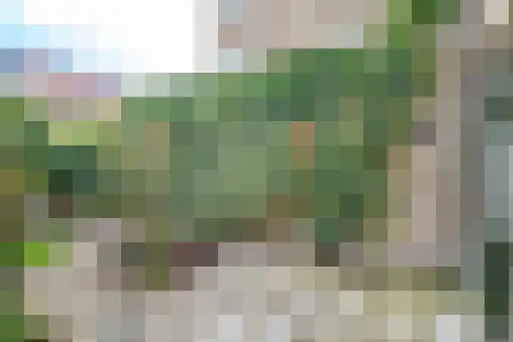 Rijnlaan 52 Utrecht thumbnail 24