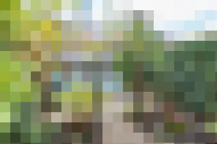 Rijnlaan 52 Utrecht thumbnail 25