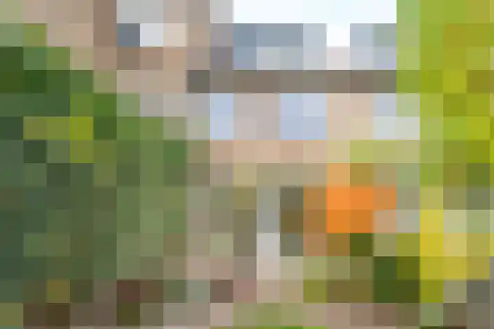 Rijnlaan 52 Utrecht thumbnail 27