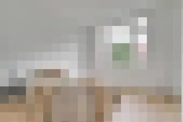 Rijnlaan 52 Utrecht thumbnail 30