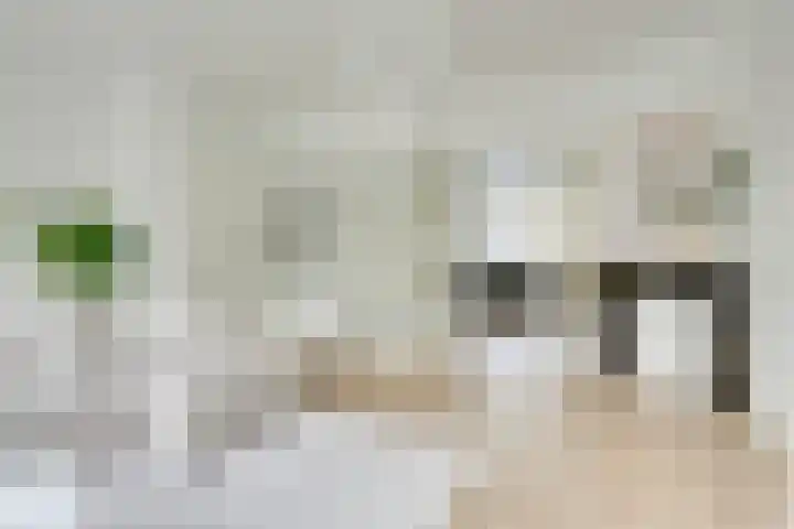 Rijnlaan 52 Utrecht thumbnail 6