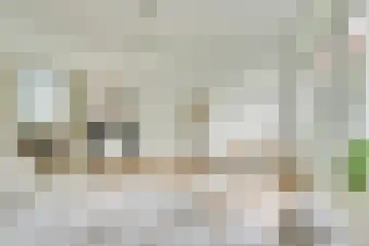 Rijnlaan 52 Utrecht thumbnail 7