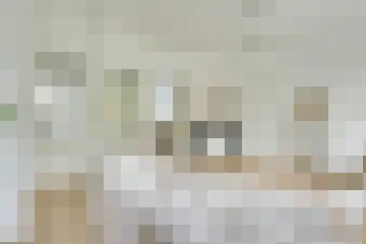 Rijnlaan 52 Utrecht thumbnail 8