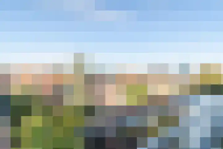 Rijnlaan 53 BS Utrecht thumbnail 36