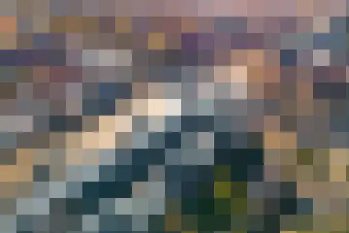 Rijnlaan 53 BS Utrecht thumbnail 54