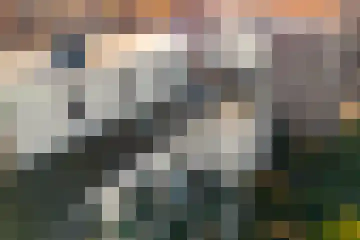 Rijnlaan 53 BS Utrecht thumbnail 55