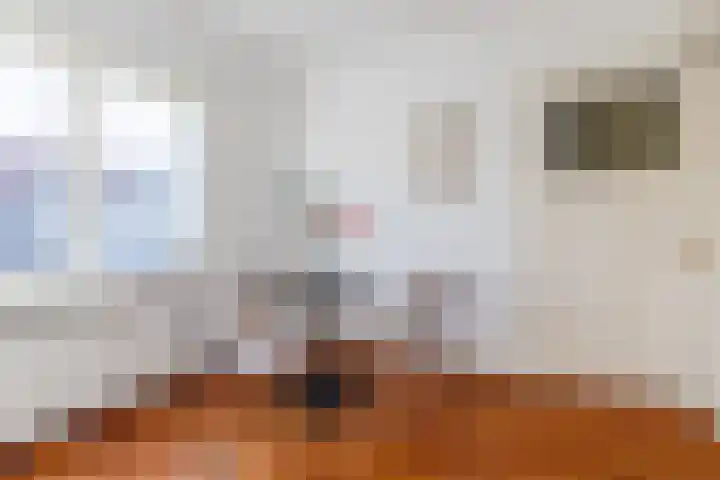 Rijnlaan 53 BS Utrecht thumbnail 6