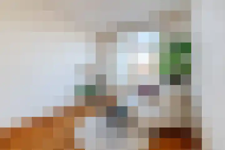 Rijnlaan 53 BS Utrecht thumbnail 9