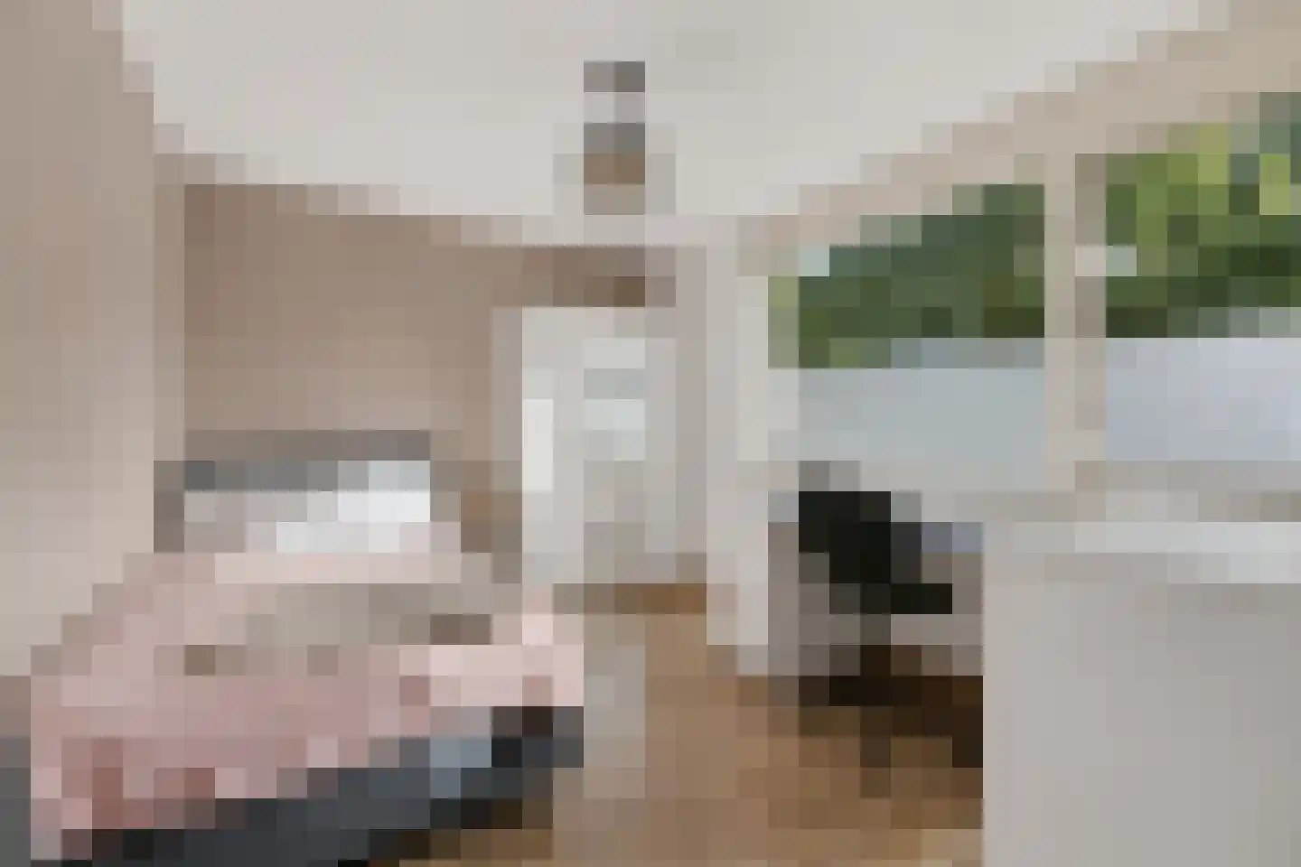 Rijnlaan 56 Bergen op Zoom thumbnail 18