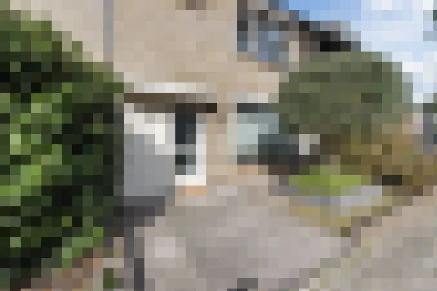 Rijnlaan 56 Bergen op Zoom thumbnail 38