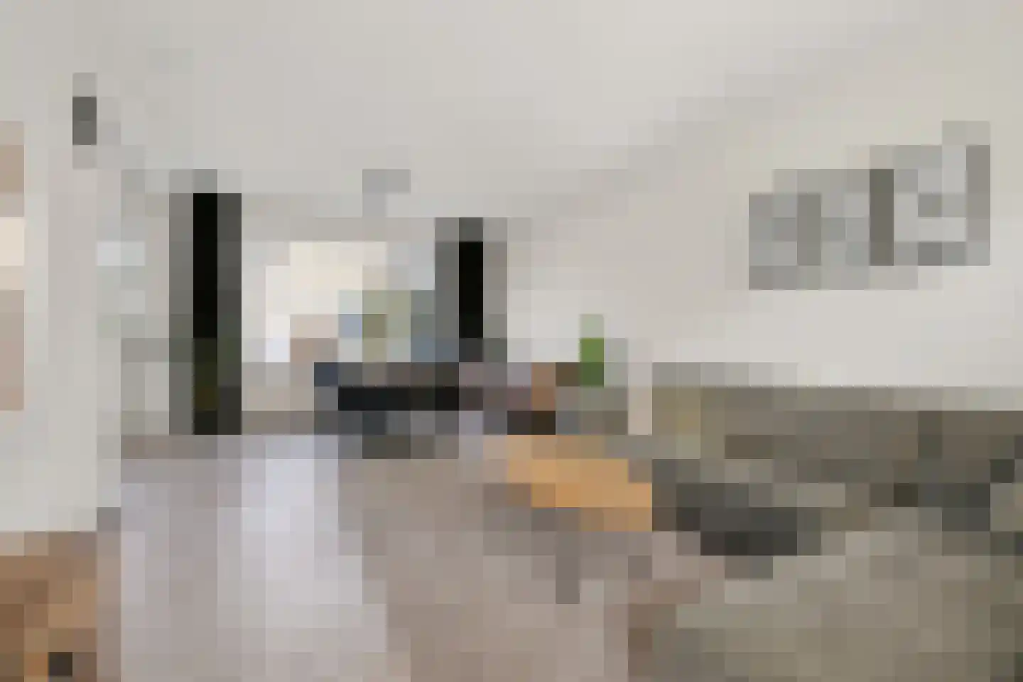 Rijnlaan 56 Bergen op Zoom thumbnail 4
