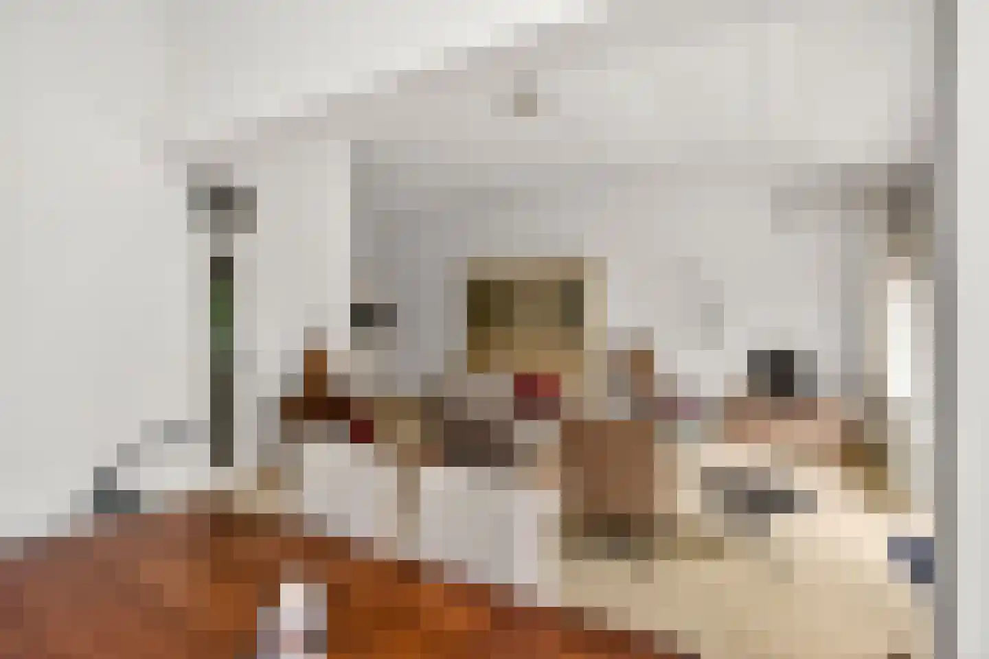 Rijnlaan 57 Nieuwegein thumbnail 8