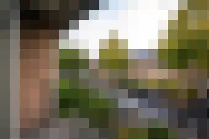 Rijnlaan 61 Heemstede thumbnail 15