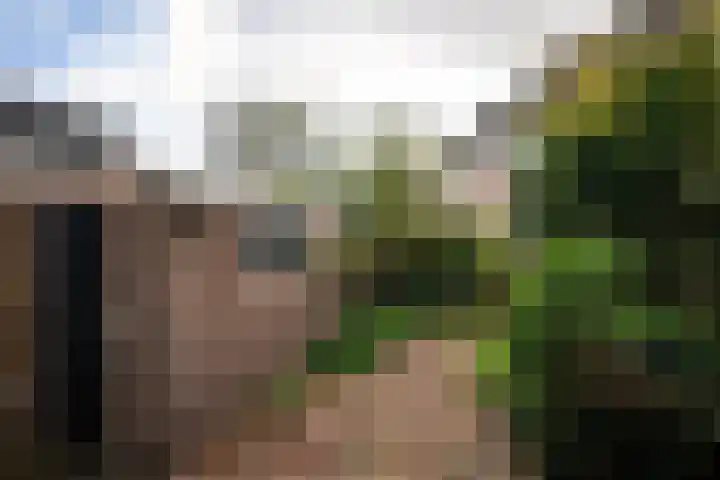 Rijnlaan 61 Heemstede thumbnail 22