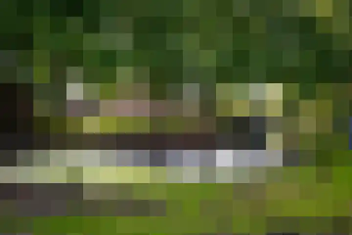 Rijnlaan 61 Heemstede thumbnail 24