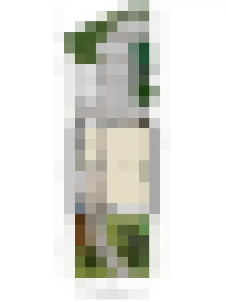 Rijnlaan 61 Heemstede thumbnail 31