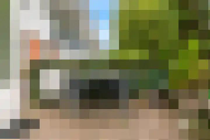 Rijnlaan 61 Nieuwegein thumbnail 17