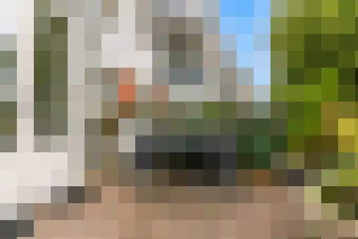 Rijnlaan 61 Nieuwegein thumbnail 18