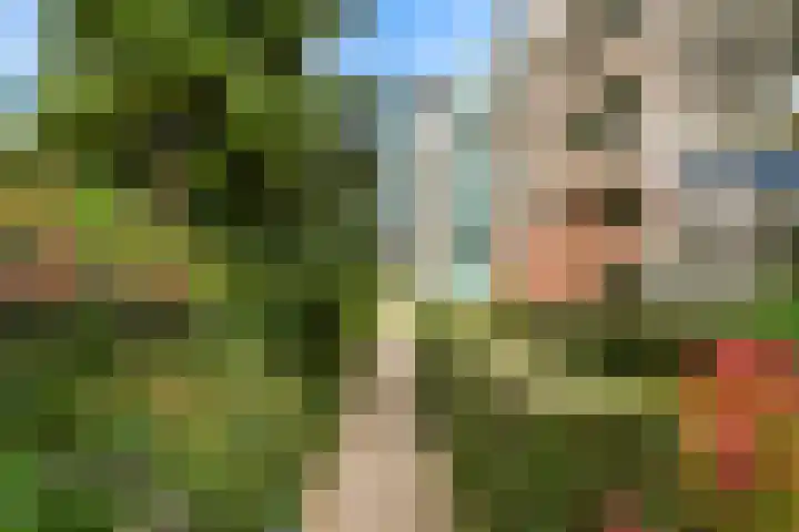 Rijnlaan 61 Nieuwegein thumbnail 21