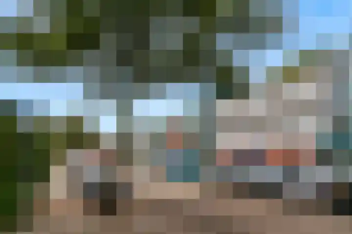 Rijnlaan 61 Nieuwegein thumbnail 37