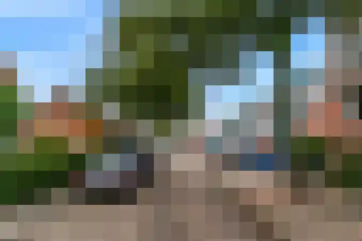 Rijnlaan 61 Nieuwegein thumbnail 41