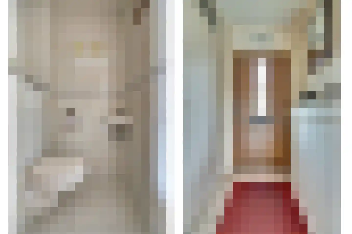 Rijnlaan 65 Spijkenisse thumbnail 18