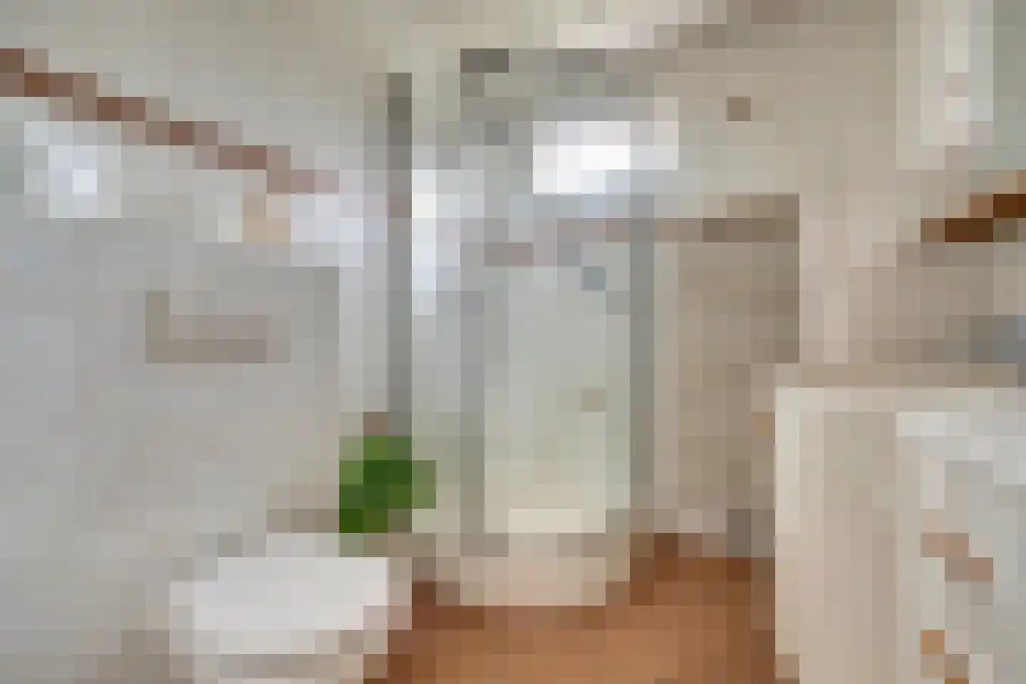 Rijnlaan 65 Spijkenisse thumbnail 23