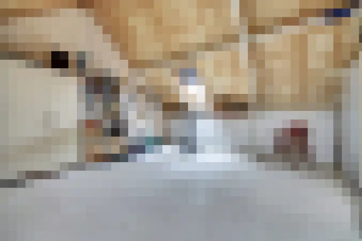 Rijnlaan 65 Spijkenisse thumbnail 26