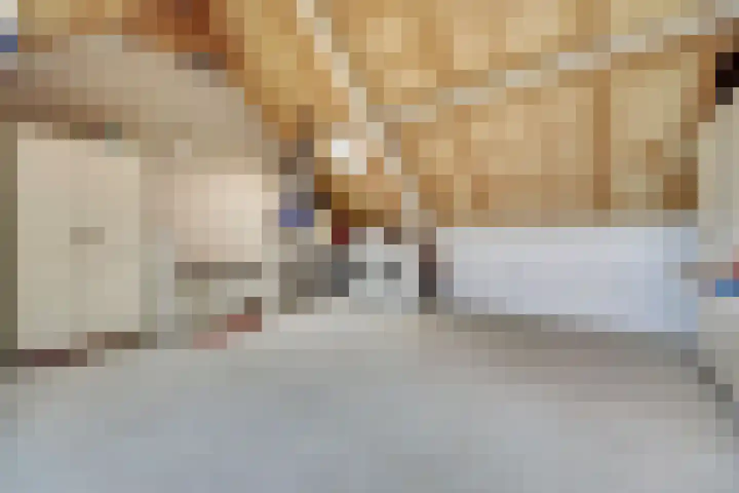 Rijnlaan 65 Spijkenisse thumbnail 27