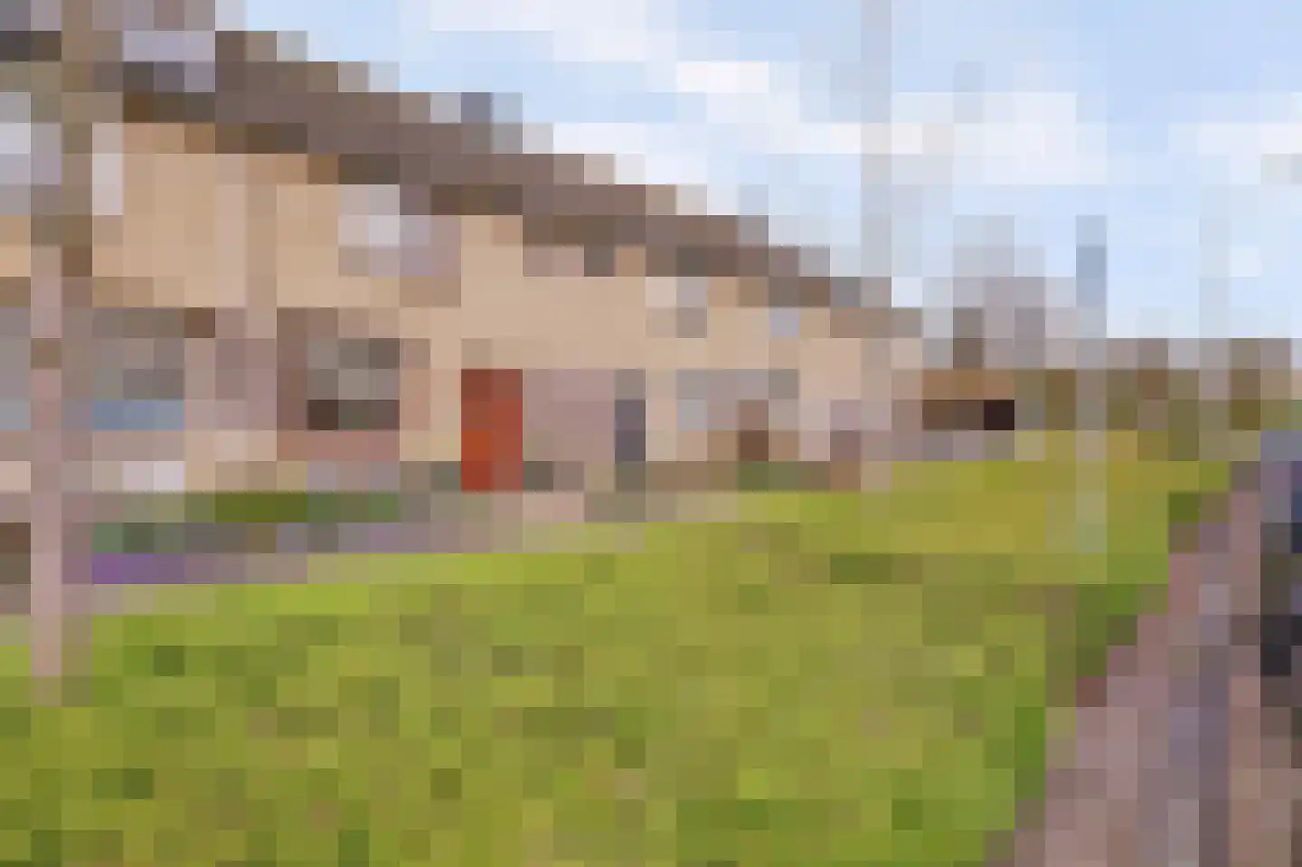 Rijnlaan 65 Spijkenisse thumbnail 29