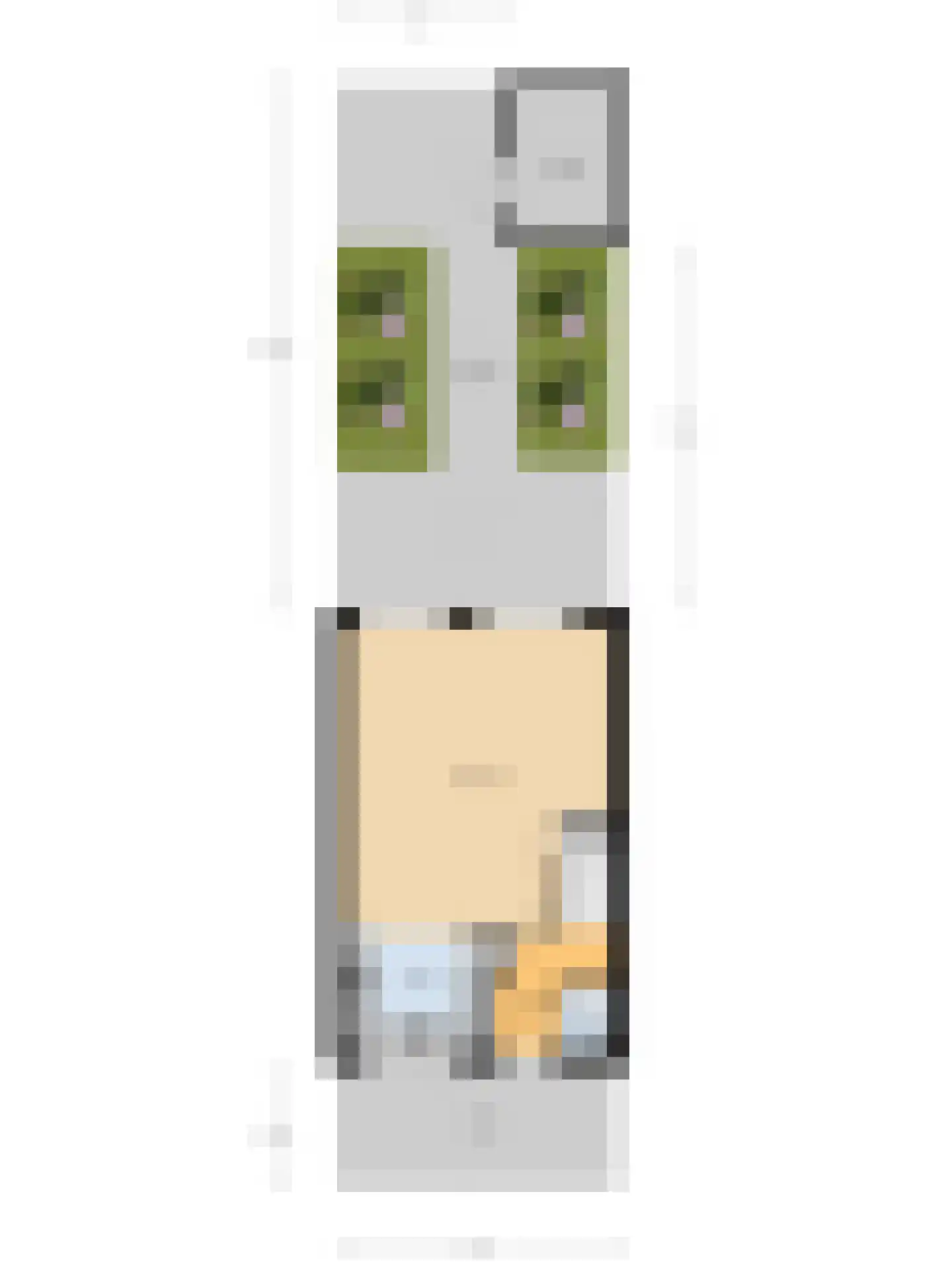 Rijnlaan 65 Spijkenisse thumbnail 30