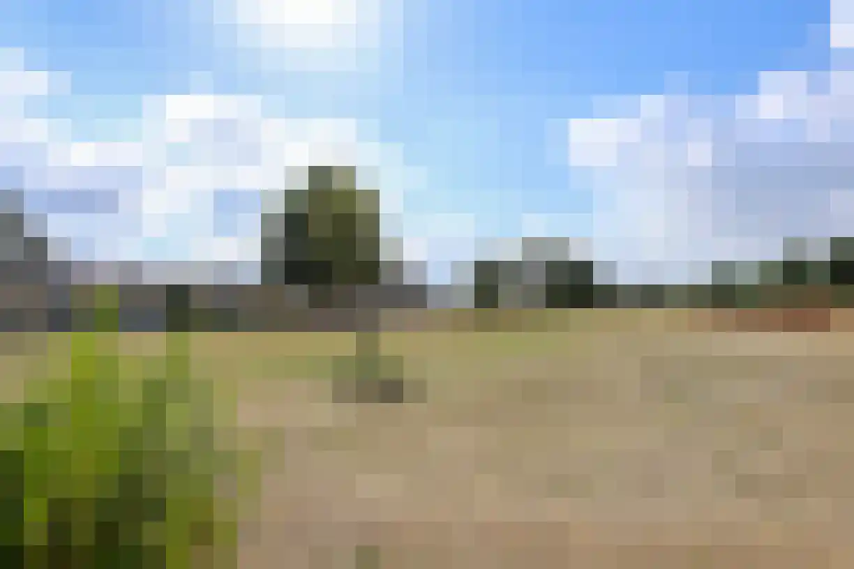 Rijnlaan 77 Bergen op Zoom thumbnail 24