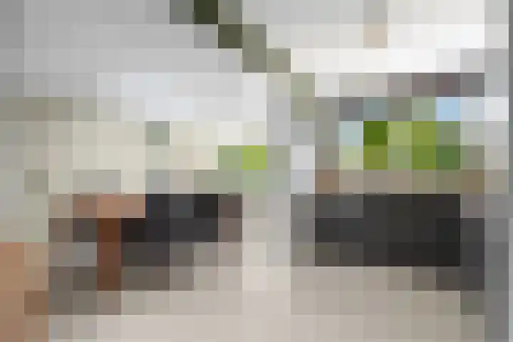 Rijnlaan 8 Culemborg thumbnail 10