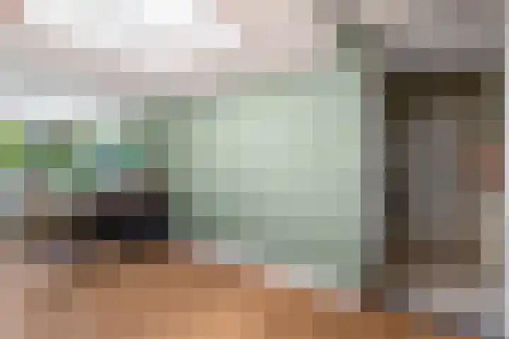 Rijnlaan 8 Culemborg thumbnail 16